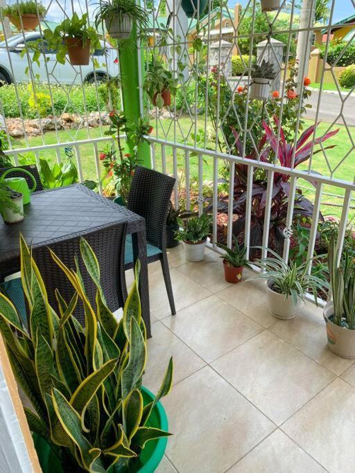 Cozy Villa Mammee Bay 外观 照片
